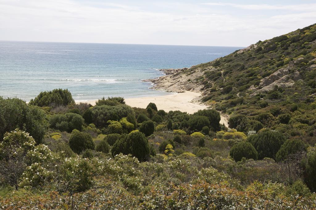 Case Sul Mare Residenze Di Bes Chia Dış mekan fotoğraf
