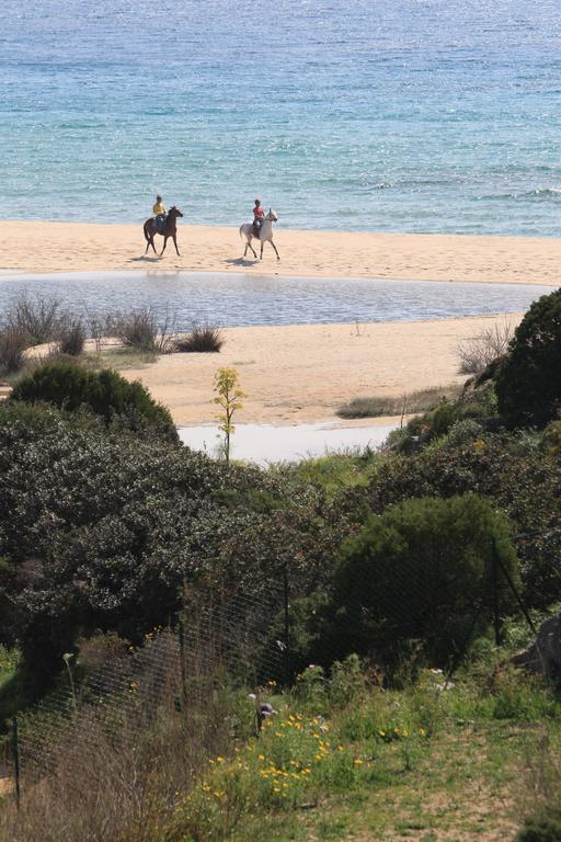 Case Sul Mare Residenze Di Bes Chia Dış mekan fotoğraf